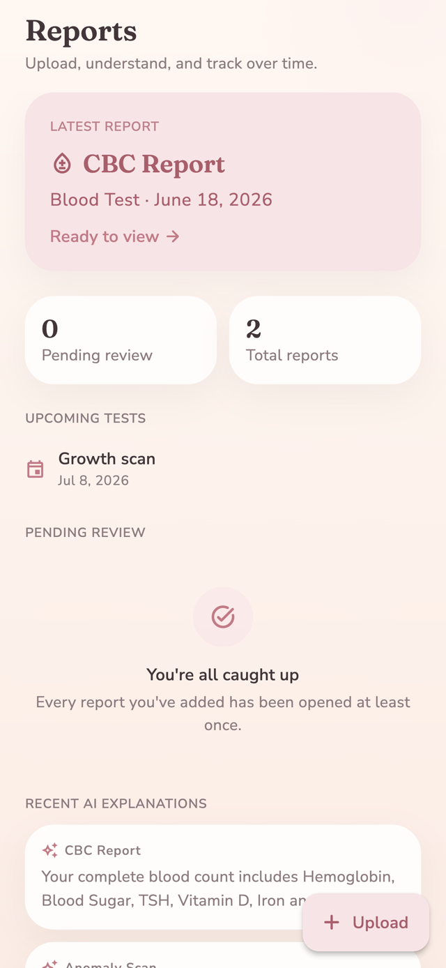 The Reports screen in Lunelle, showing the latest blood test, upcoming scans, and plain-language explanations of saved reports.